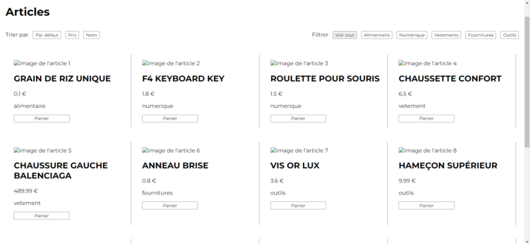 Lire la suite à propos de l’article Développement d’un site web fonctionnel